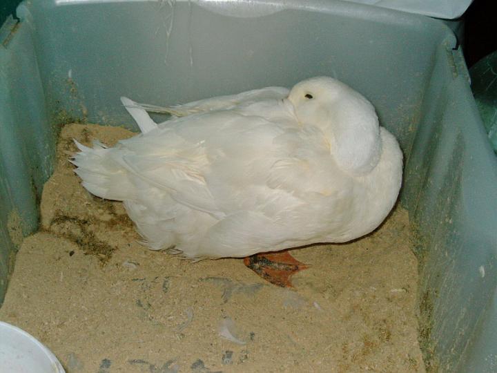 06-10130017.jpg