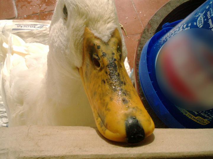 06-11170011.jpg