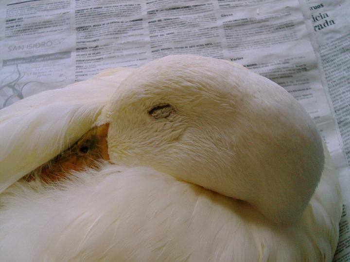07-05110006.jpg