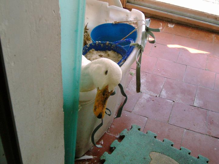 07-05280001.jpg