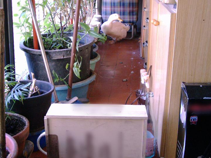 07-06220001.jpg