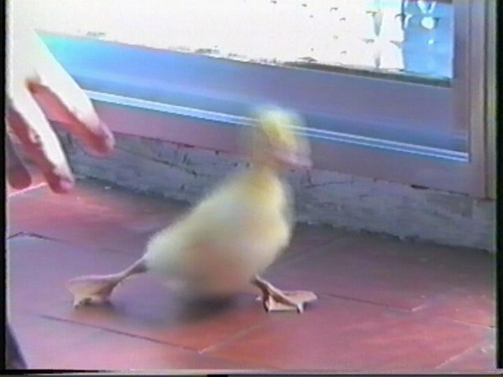 _a06.jpg