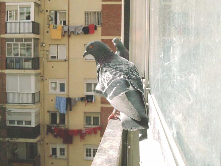 06-10270001.jpg