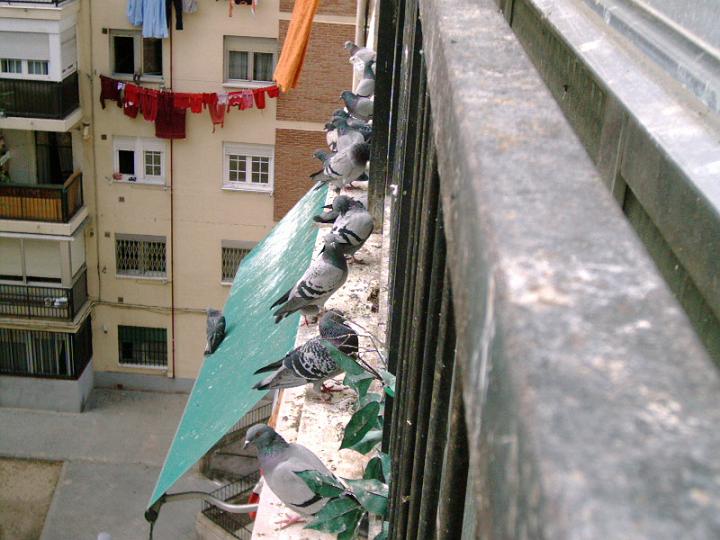 06-10270002.jpg