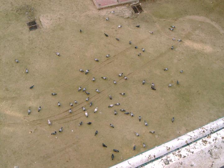 06-11200001.jpg