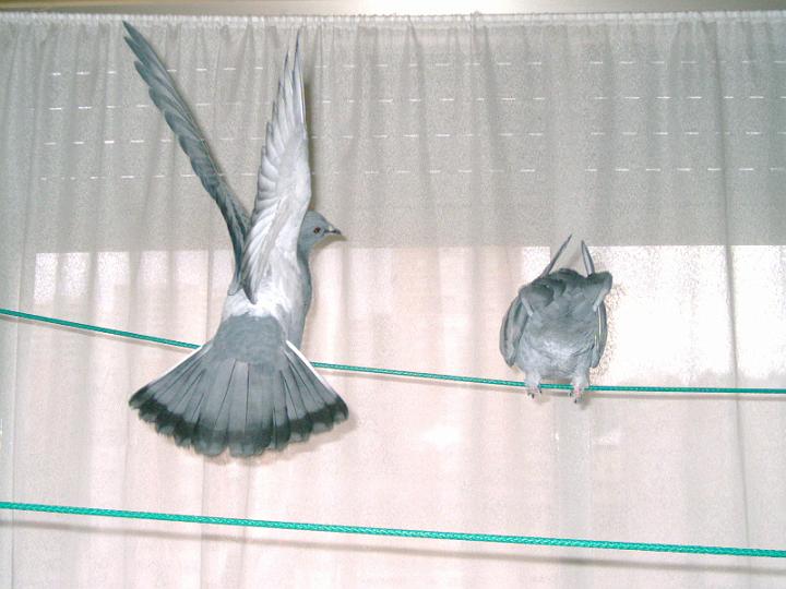 07-03230003.jpg