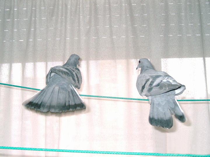 07-03230004.jpg