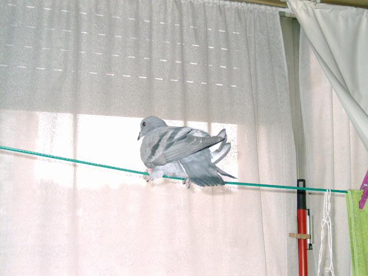 07-03230005.jpg