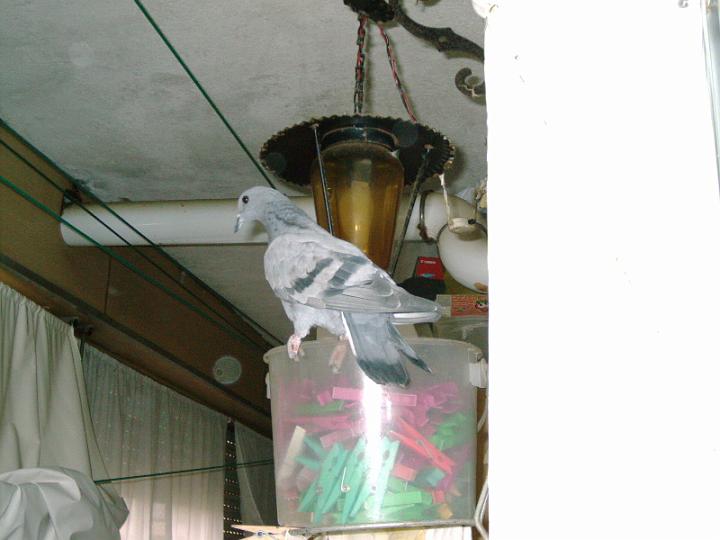 07-03230006.jpg