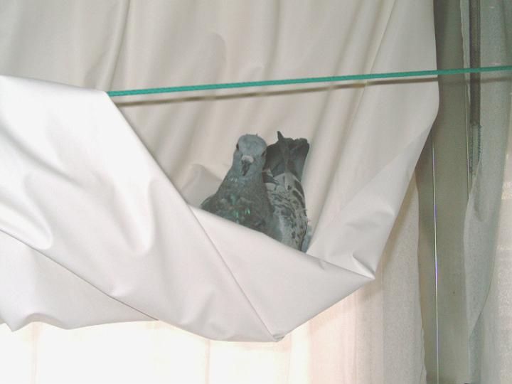 07-03230007.jpg