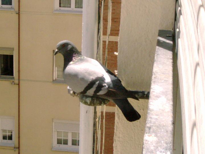 07-05070006.jpg