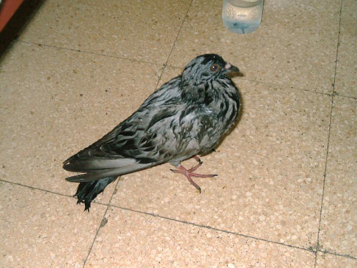 07-05200001.jpg