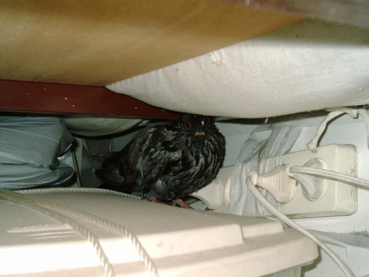 07-05200004.jpg