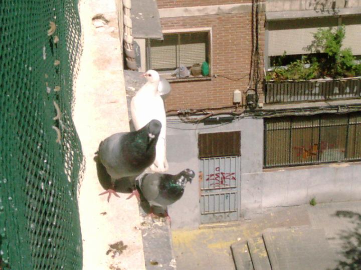 07-05290002.jpg