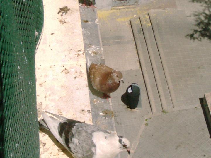 07-05290005.jpg