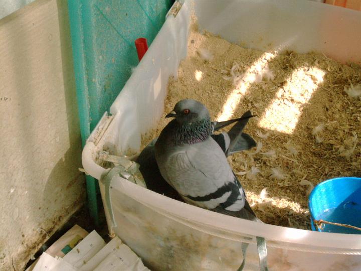 08-03010002.jpg